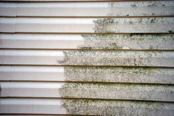 Best Property Management Cleanouts  in Harmony Grove, CA